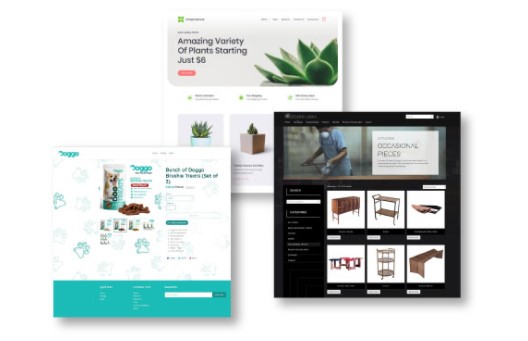 our web design services